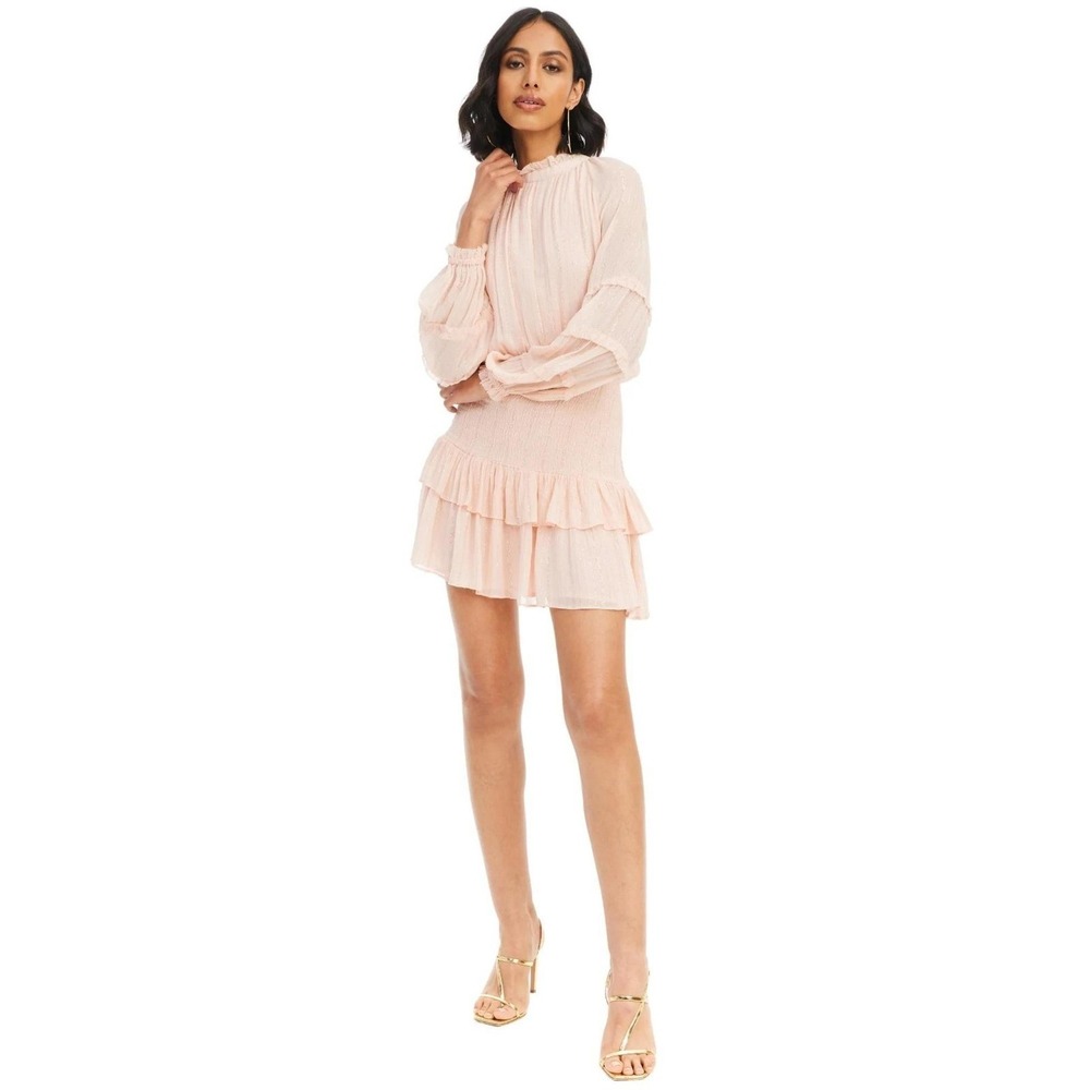 Anthropologie by Allison New York Festival Pixie Mini Dress Blush Smocked S NWT